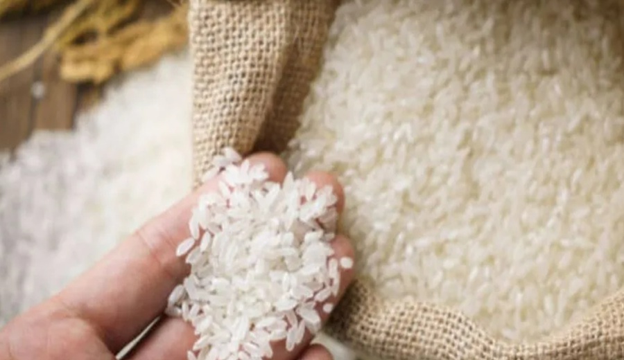 Perú sale a comprar arroz a pequeños productores: cuánto podrá vender cada agricultor