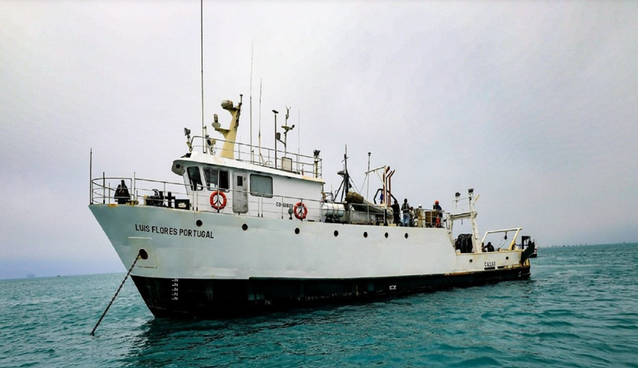 Produce autoriza a Imarpe ejecución de pesca exploratoria de anchoveta blanca